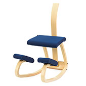 variable stool with backrest