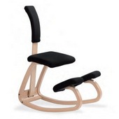 variable stool with backrest and cushion