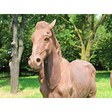 Life-Size Horses