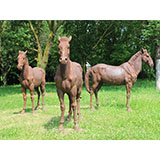 Life-Size Horses