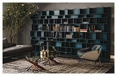 wally bookcase