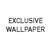 exclusive wallpaper