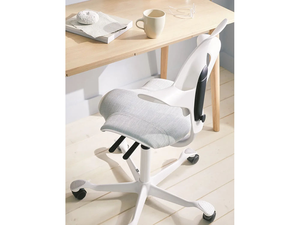 Poltrona Capisco 8020