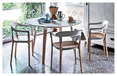 steelwood chair