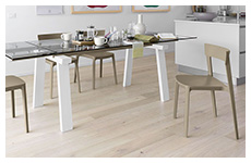 levante table - skin chair