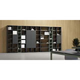 Libreria Tomo System TMSFNC